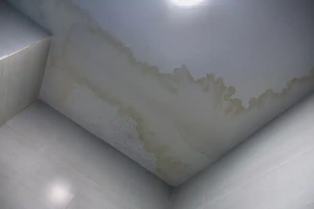 water stain ceiling