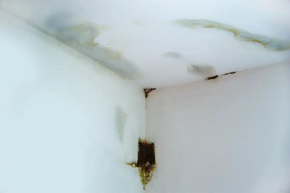 roof leak damage