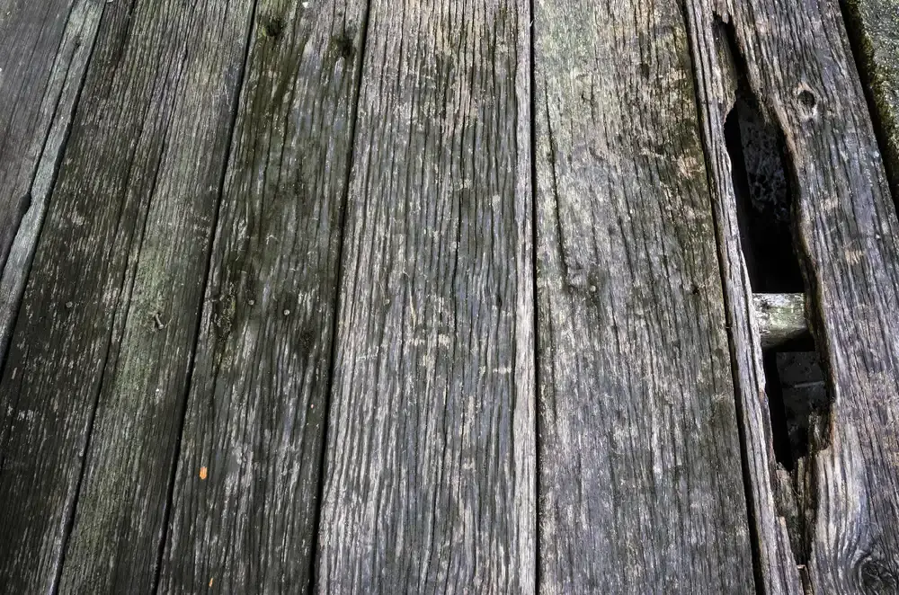 Signs It’s Time to Replace Your Old Deck
