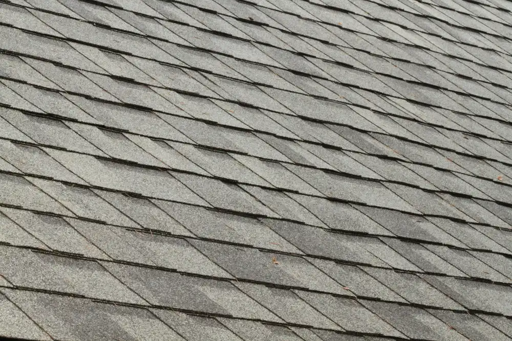 new roof shingles