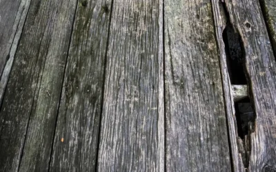 Signs It’s Time to Replace Your Old Deck