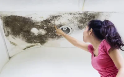 How to Spot and Fix Roof Leaks Before They Lead to Major Damage