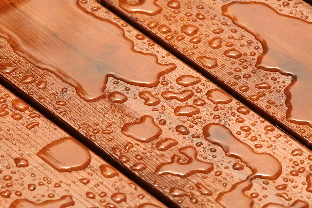 rainy deck