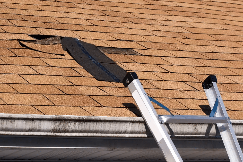 missing shingle on roof