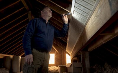 The Role of Attic Ventilation in Home Health