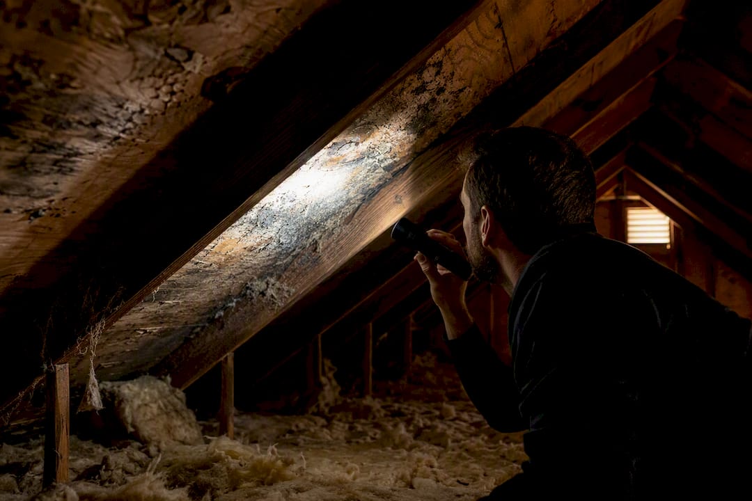 Flashlight illuminating attic roof decking and insulation