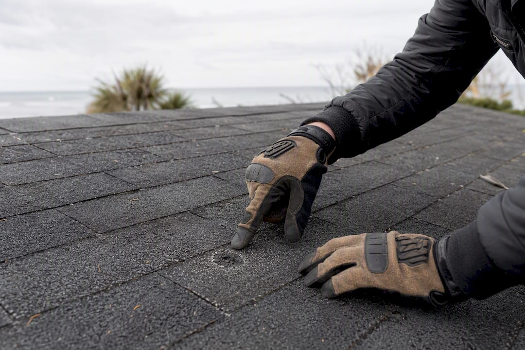 Inspector examining hail bruise on asphalt shingle