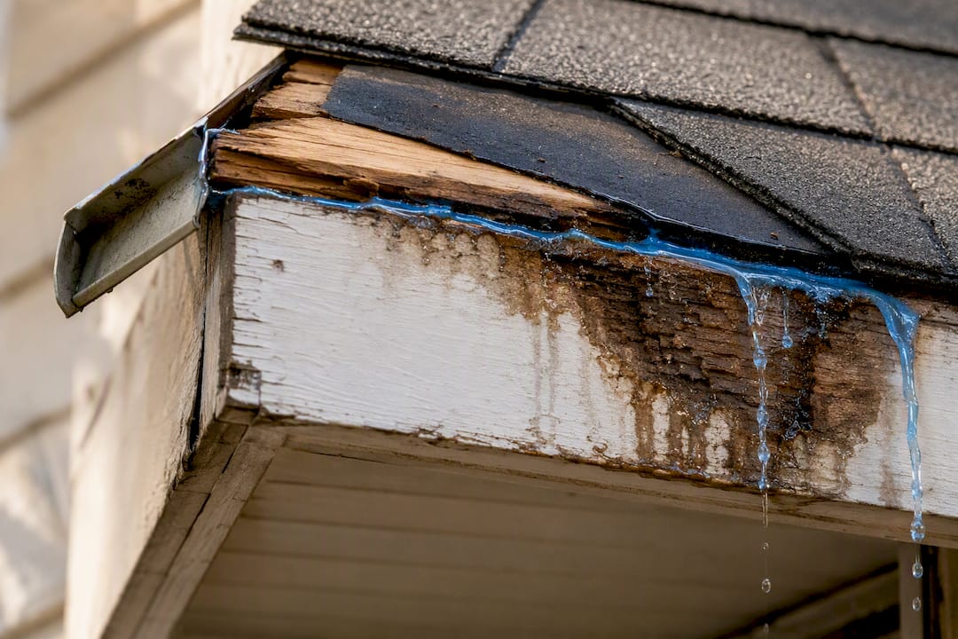 Water path from failed drip edge into fascia