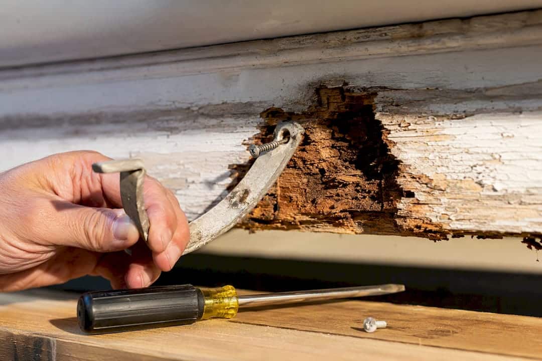 Soft rotted fascia behind gutter hanger